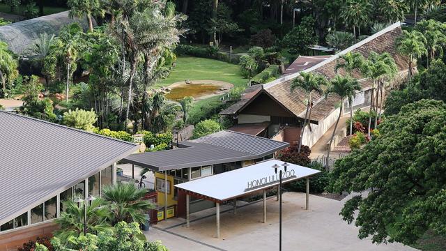 Honolulu Zoo